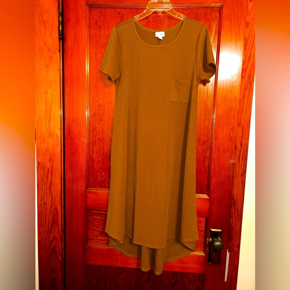 LulaRoe Carly Dress
